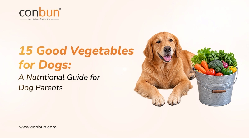 15 Good Vegetables for Dogs: A Nutritional Guide for Dog Parents